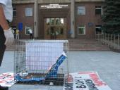 ��� ����, ��� ������� "�� ����-20011"!