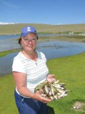 ����������� ������� �� ����������� �������