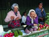 ���� ���������: ������������� ������������� ��������� �������� ������������� � �������