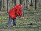 ���������� ���������� ������� ��������� �� ��������� �������� �����