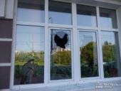 � ������� ������� ��������� ���� ����������, ����������� ����������� ��������� �� ���� ����