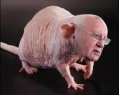 �.�. �������: ���� ��������� ��� ������� �������������