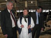 �.�. ������� ������� ���������� �������