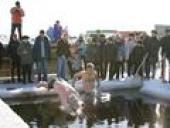 ���� ������� ������������� ���� �������� � ������