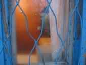 �������� ������� �� �� ������������ ��������� �� ����������� ���������� ��������