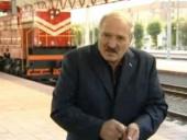 ���� ����������