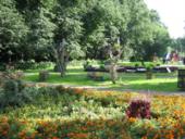 � �������-���������������� ������������ ����������� �������� ��������������