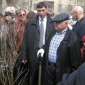 ����� ������ ���� ������