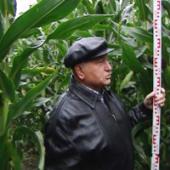 ���������� ���� �������