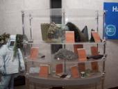 ������ �������� ���� ������ - ���� �����