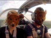 ��� ���� ������� � ��������� ����?