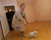 ���������� ���������� ����� (������������)