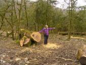 ����� �������: ��� ���������� ����� � ������: ����� ���������� ��� ��� ����������� ������