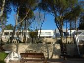 ��������� ����