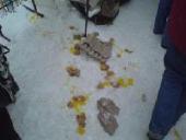 ���������� ������� ����������� ���������� ����� ����� ��������� ��������������