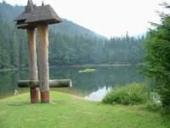 ����������� ��������: ������������ ��������� ���� �������� ������� ������� �� ��������� ����������� ����������