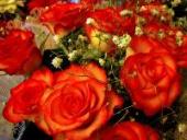 ��³���� ������ �������� ��������� ���� � ����������� ������