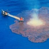 ЕБРР профинансировал рейдовую перевалку нефти в Керченском проливе