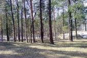 Беличанский лес стал национальным природным парком – Д. Москаль