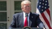 NI рассказал, что потерял Трамп, нанеся удар по Сирии