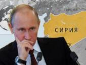 Путин: почти вся территория Сирии освобождена от террористов