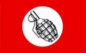 Новая программа партии