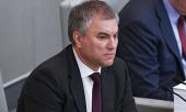 Володин заявил о снижении доверия к решениям ЕСПЧ
